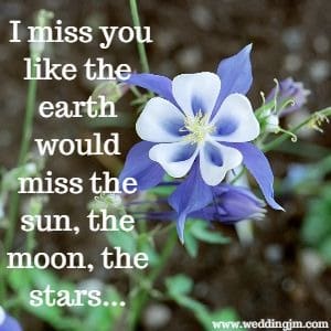 I miss you like the earth would miss the sun, the moon, the stars...