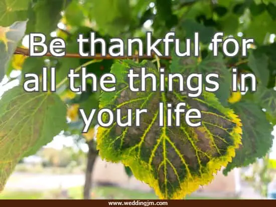 Be thankful for all the things in your life