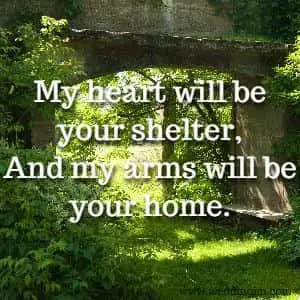 My heart will be your shelter, And my arms will be your home.