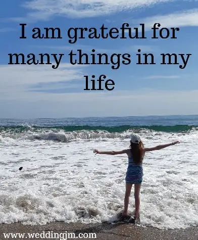 I am grateful for many things in my life