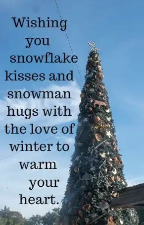 Wishing you snowflake kisses and snowman hugs with the love of winter to
	warm your heart.