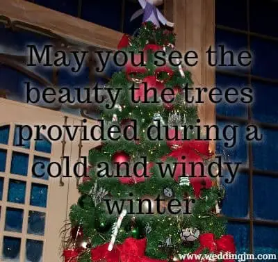 May you see the beauty the trees provided during a cold and windy winter.