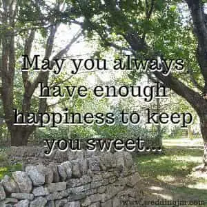 May you always have enough happiness to keep you sweet