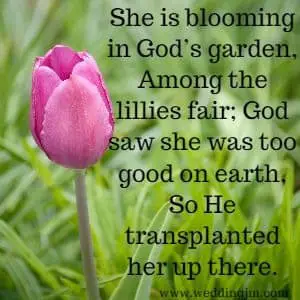 She is blooming in God's garden, Among the lillies fair; God saw she was too good on earth, So He transplanted her up there.