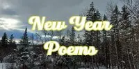 new year poems